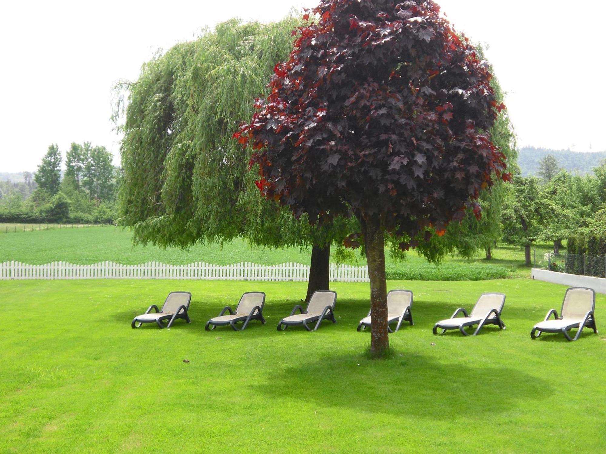 Pension Busch Залем Екстер'єр фото